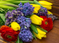 Tulipes, jacinthes, Speedwell et Ranunculus