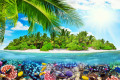 Île tropicale