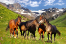 Paysage de montagne avec des chevaux