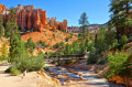 Mossy Cave Trail, parc national Bryce Canyon, Utah