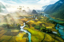 Rizières en terrasses à Trung Khanh, Vietnam