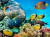 Colonie de corail, Mer Rouge, Égypte