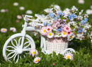 Vélo avec fleurs printanières