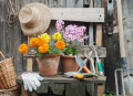 Fleurs et outils de jardinage
