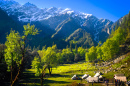 Parvati Valley, Montagnes de l’Himalaya