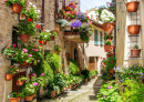Ville médiévale de Spello, Italie
