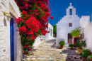 Mediterranean Street, Amorgos, Grèce