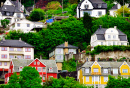 Logement entre les arbres à Bergen norvégien