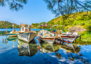 Bateaux de pêche à Marmaris, Turquie