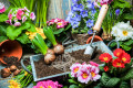 Outils de jardinage et fleurs