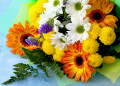 Bouquet de Gerbera avec des chrysanthèmes