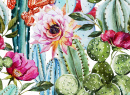 Aquarelle de cactus en fleurs