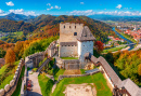 Vieux château médiéval en Slovénie