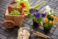 Fleurs et outils de jardinage