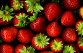 Fraises