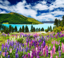 Paysage avec lac et fleurs