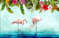 Plantes tropicales et flamants roses