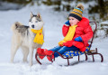 Petite fille assise sur un traîneau et son husky