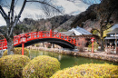 Pont au pays des merveilles d’Edo, Japon