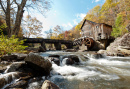 Moulin à farine de Cedar Creek