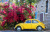 Yellow Volkswagen Beetle, Nazareth, Israël