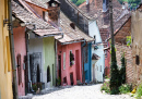 Vieilles rues de la forteresse de Sighisoara, Transylvanie