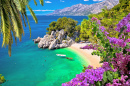 Punta Rata Beach, Dalmatie, Croatie