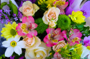 Alstroemeria, roses et fleurs de chrysanthème