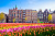 Vieux bâtiments et tulipes à Amsterdam