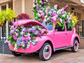 Voiture rose et fleurs