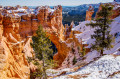 Parc national de Bryce Canyon, Utah, États-Unis