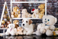 Chiot Jack Russell Terrier parmi les ours en peluche