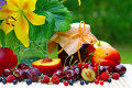 Fruits, confitures et fleurs