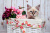 Chaton sibérien dans un panier de fleurs