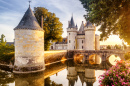 Château de Sully-sur-Loire au coucher du soleil