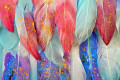 Plumes multicolores