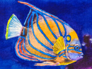 Peinture de poisson de l’océan