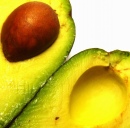 À l'intérieur de la bête