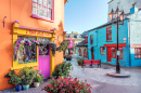 Maisons irlandaises traditionnelles colorées