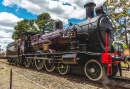 Une locomotive à vapeur 3265 vieille de 116 ans