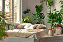 Chambre confortable avec des plantes d’intérieur