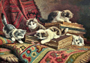 Chatons jouant sur une pile de livres