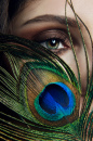 peacock&face