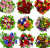 Bouquets de fleurs colorées