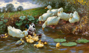 Famille de canards au bord de l’eau