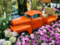 Flower Dome, Gardens by the Bay, Singapour