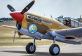 Curtiss P-40F-15-CU Kittyhawk, Duxford, Royaume-Uni