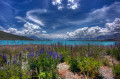 Lac Tekapo, Nouvelle-Zélande