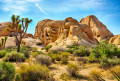 Parc national de Joshua Tree, Californie, États-Unis