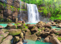 Cascade dans la forêt tropicale